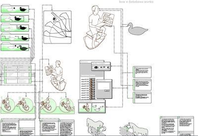Interfaces híbridas para la acción agregada. Natalie Jeremijenko